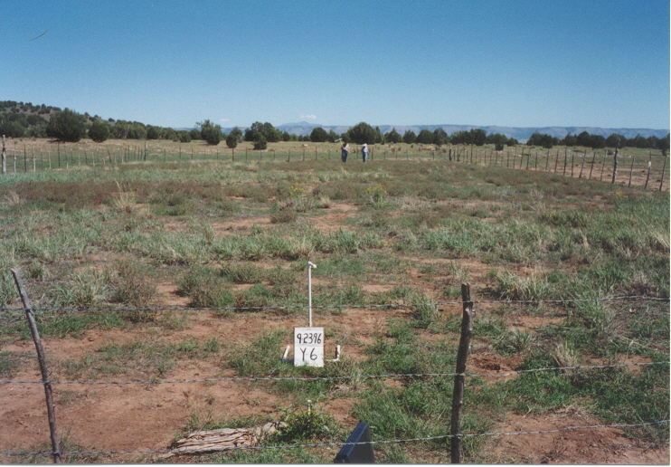 y-6 09/23/96