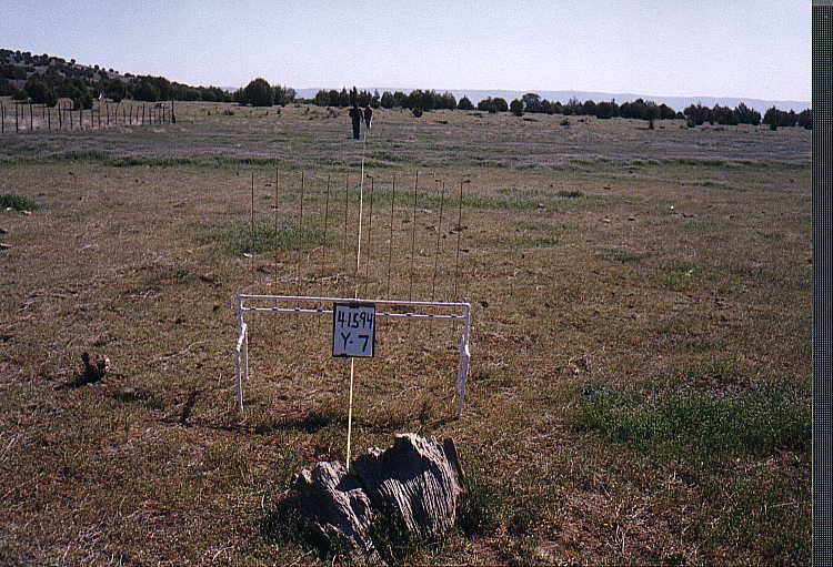 Y-7 04/15/94