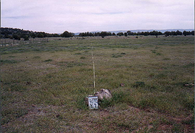 Y-7 04/27/95