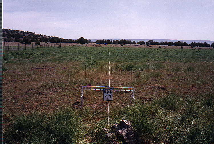 Y-7 04/29/93