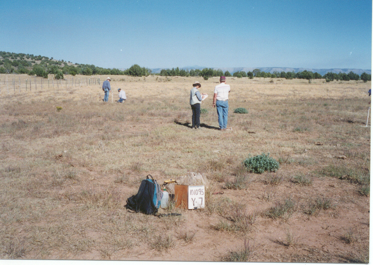 y-7 10/10/95