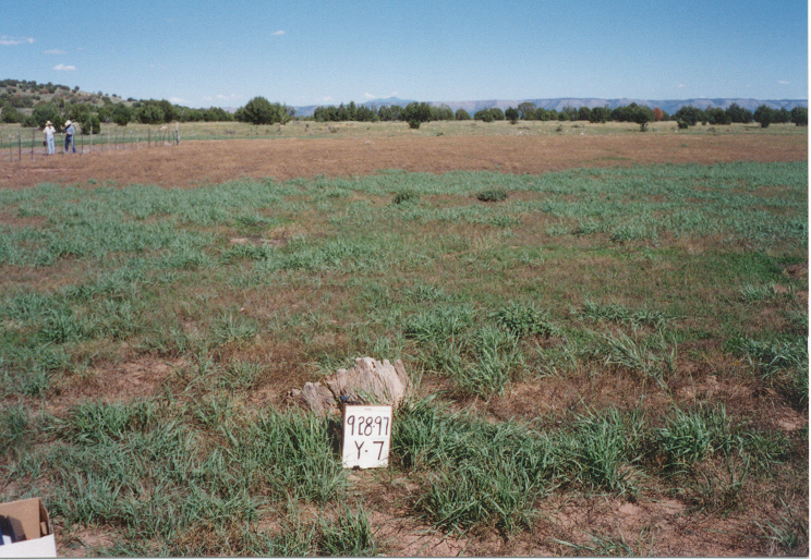 y-7 09/28/97
