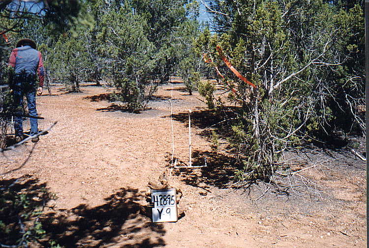 y-9 04/28/95