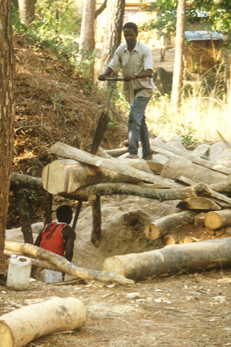 Photo of pit sawyers at work