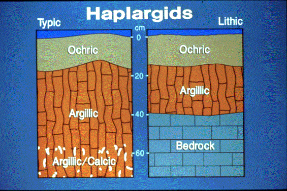 Aridisols Slide 47