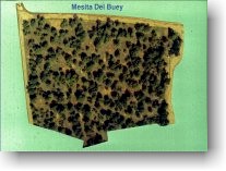 Mesita del Buey