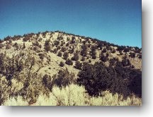 PJ Hillslope