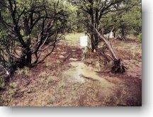 PJ Hillslope Runoff