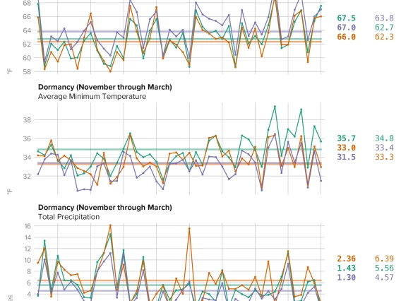 graphs of maximum temperature, minimum temperature, and precipitation at the AZMet Willcox Bench station from November 2024 through March 2025