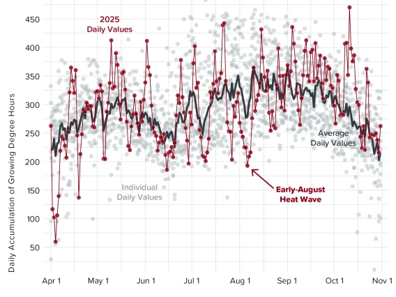 time series graph of daily accumulations of growing degree hours at the AZMet Willcox Bench station