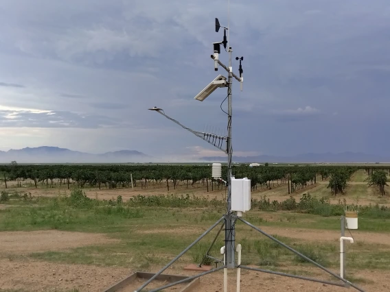 AZMet Willcox Bench station