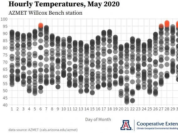 hourly temperature graph AZMET Willcox Bench station