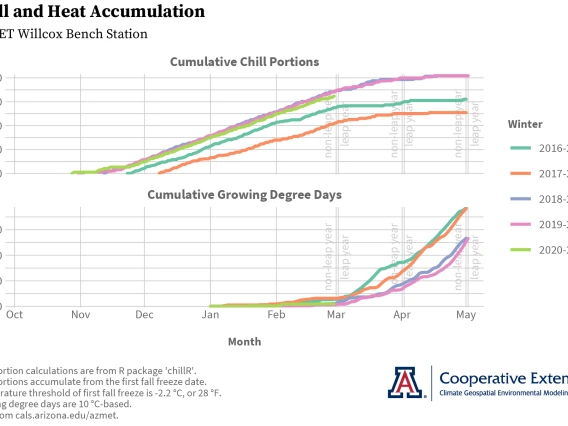 chill and heat accumulation graphs for AZMET Willcox Bench station