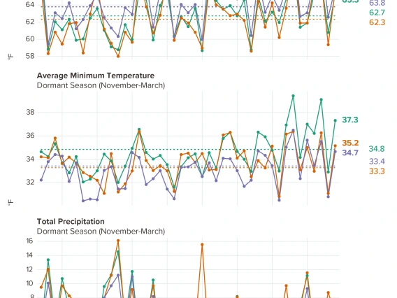 graph of November-March temperature and precipitation time series for Arizona AVAs