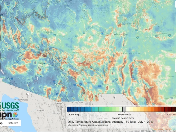 2019 July cumulative GDDs map