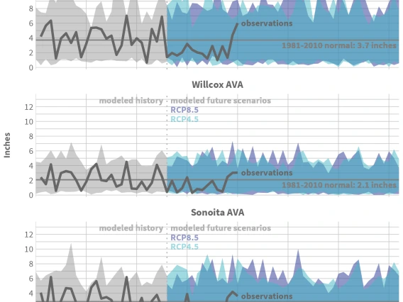 Arizona AVA February-April precipitation time series