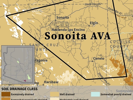 map of soil drainage class for Sonoita AVA