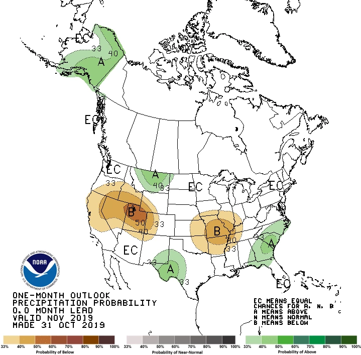 2019 November precipitation outlook map