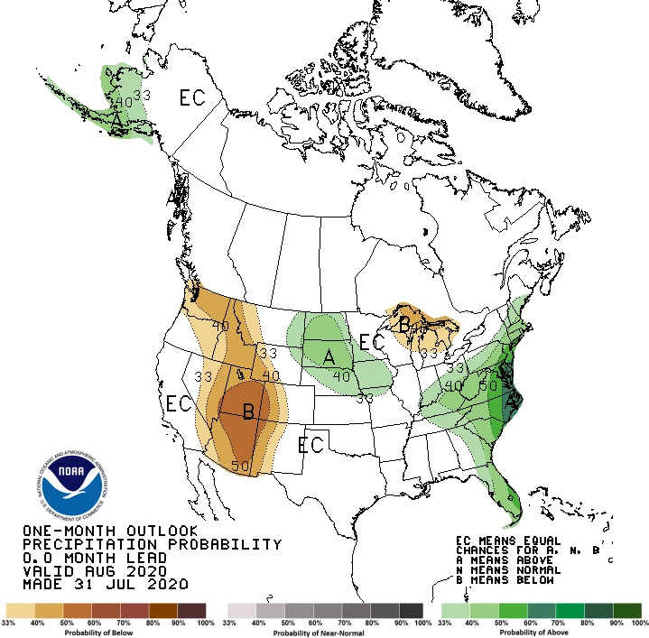 2020 August precipitation outlook map