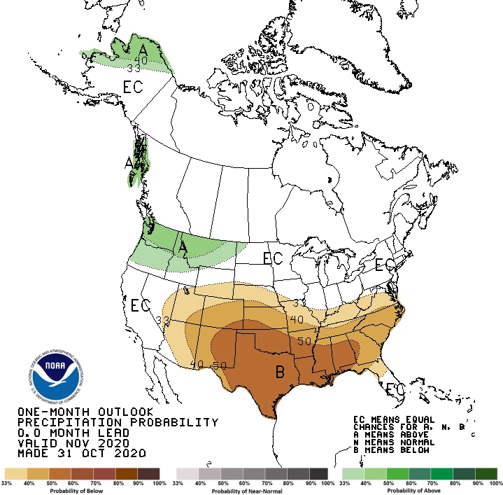 2020 November precipitation outlook map