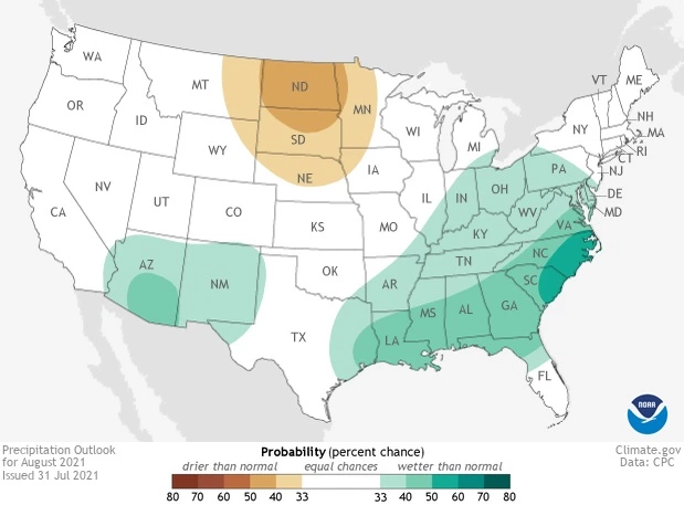 2021 August precipitation outlook map