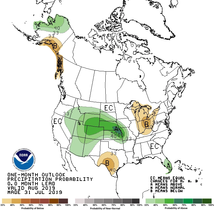 2019 August precipitation outlook map