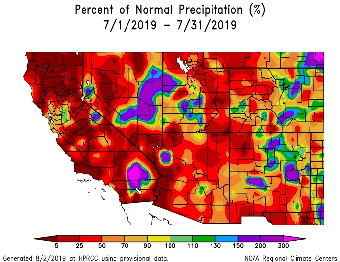 2019 July precipitation map