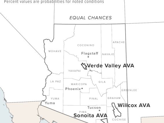 June 2024 precipitation outlook map for Arizona