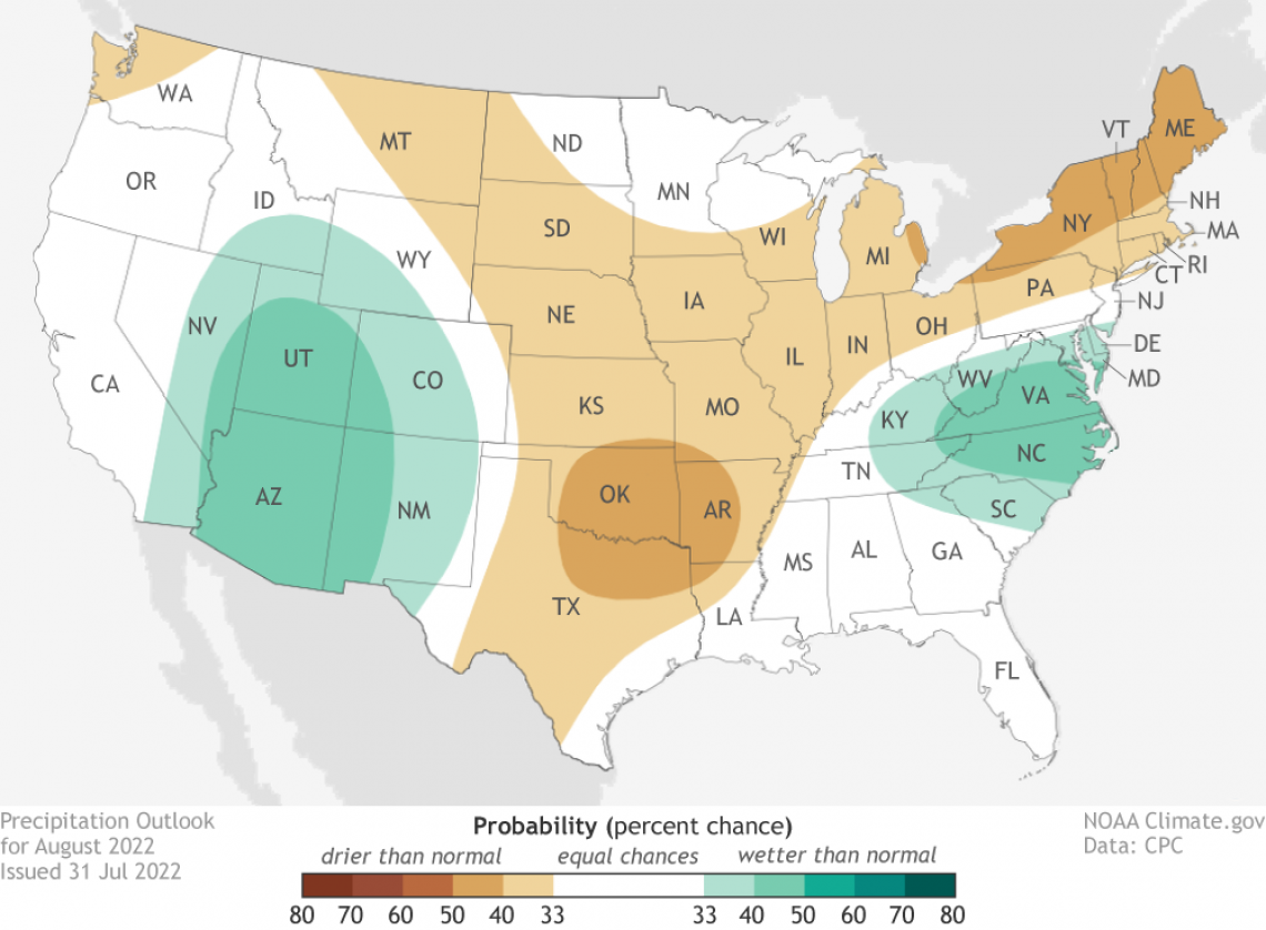 2022 August precipitation outlook map