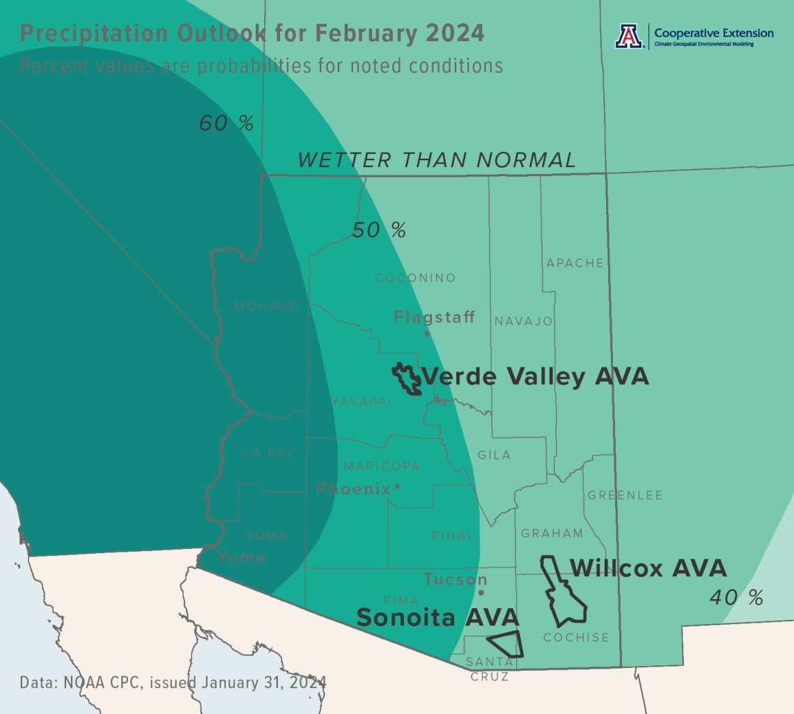 February 2024 precipitation outlook map for Arizona