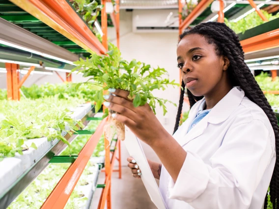 student observing lettuce