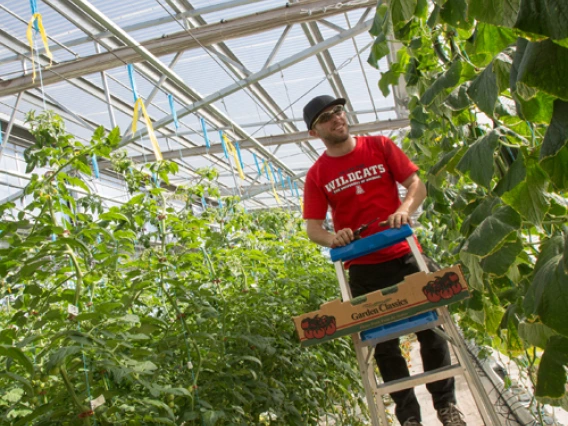 student in a greenhouse