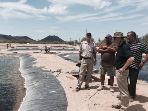 Desert Springs Tilapia in Dateland, Ariz