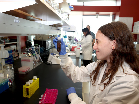 A student takes part in research in the Carini Lab