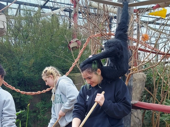 Isabel and monkey
