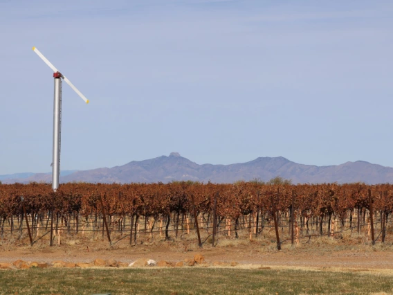 A fan in a Cochise County vineyard