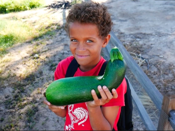 Boy with zucchini 