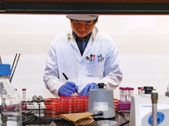 Researcher working in a microbiology lab.