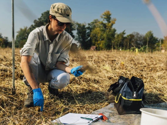 A person researching soil.