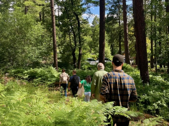 Group of students walking on a hiking path.