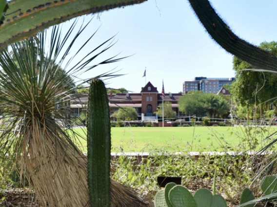 picture of old main behind foliage