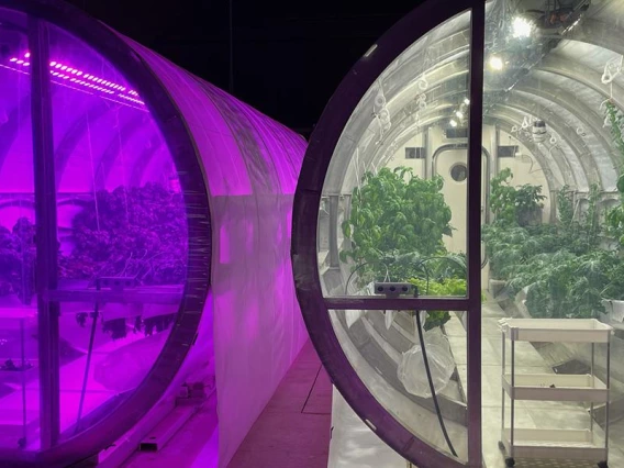 Two glass greenhouses are placed side by side with plants growing inside. The left greenhouse uses a purple light.