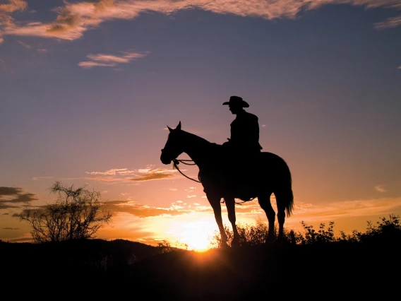 picture of a cowboy looking at sunset