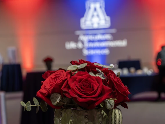 Cactus table decoration at the 2025 ALVSCE Awards Night