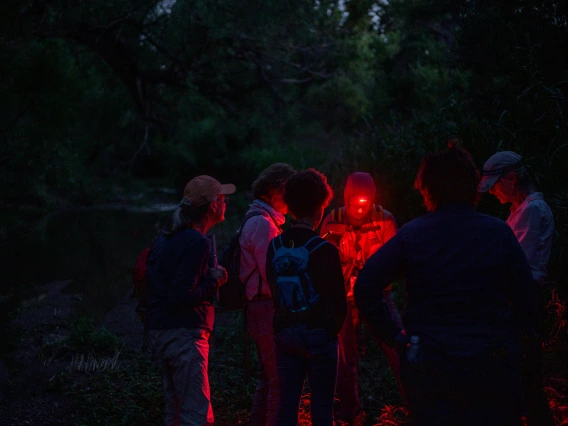 Rachel Laura and volunteers prepare for a night of surveying fireflies