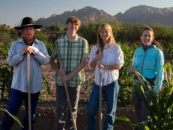 Researchers and students growing crops at the University of Arizona Campus Agricultural Center