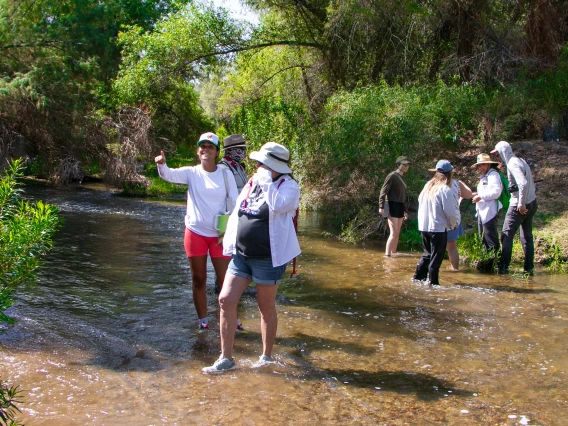 A group of BIORETS participants working on the Santa Cruz River.