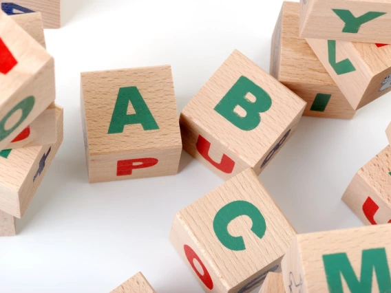 Cooperative Extension Early Literacy Programs in Gowa