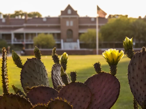 Old Main behind a foregrounded prickly pear cactus