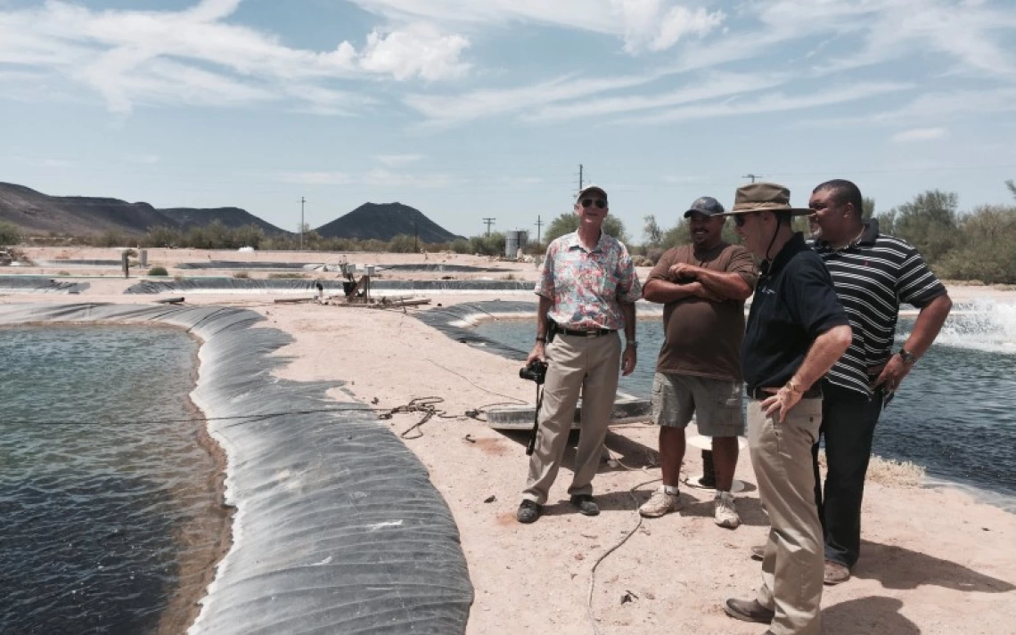 Desert Springs Tilapia in Dateland, Ariz